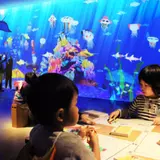 Image MFA Gallery Aquarium