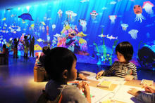 Изображение MFA Gallery Aquarium​​ 